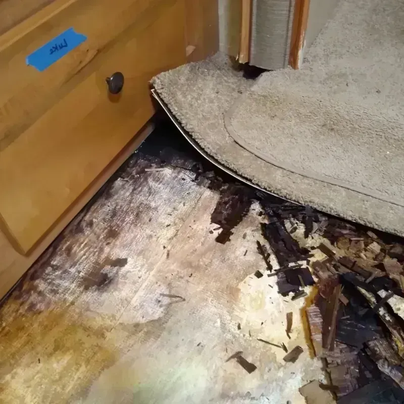 Wood Floor Water Damage in Arlington, NE